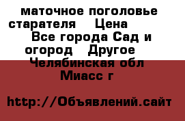 маточное поголовье старателя  › Цена ­ 3 700 - Все города Сад и огород » Другое   . Челябинская обл.,Миасс г.